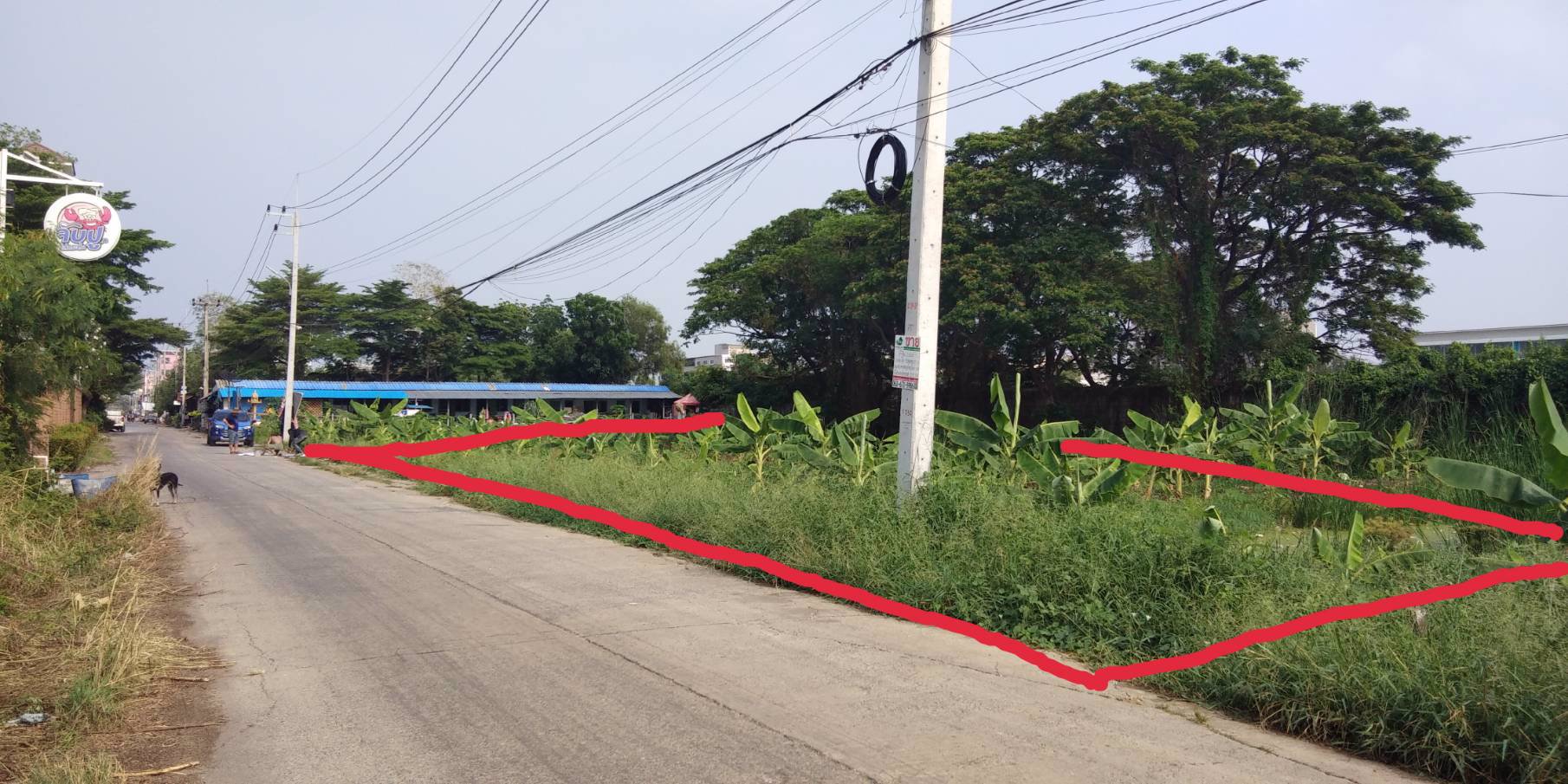 ขายที่ดินเปล่า​-ซอยกุญชร14​-ตรงข้ามจับปูใส่กระด้ง​-​ตำบลคลอง1-จังหวัดปทุมธานี​-พร้อมโอน​