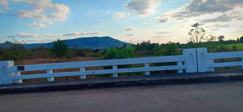 ขายที่ดิน-แบ่งขาย-350-ตรวราคา190000บาท