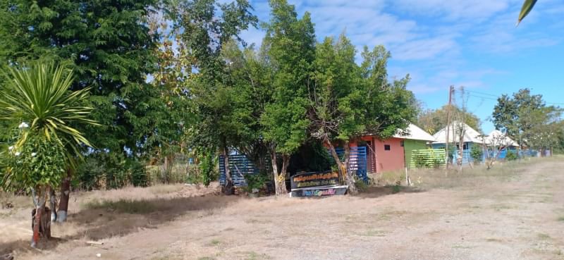 ขายที่ดินถมแล้ว-117ตรว-ติดถนนคอนกรีต-ถมแล้ว