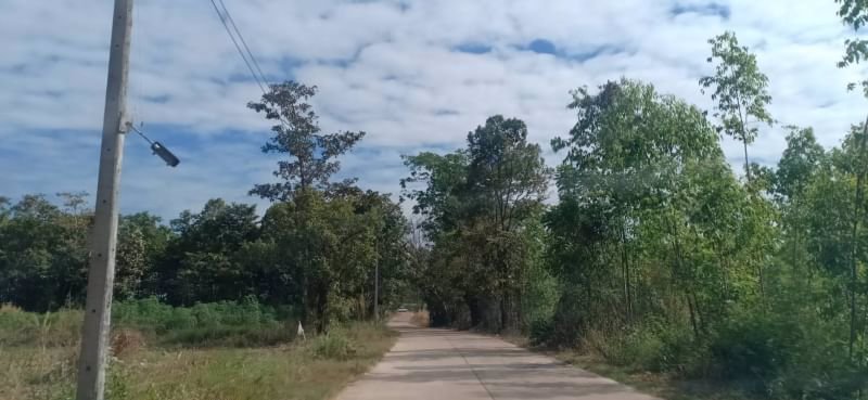 ขายที่ดินถมแล้ว-117ตรว-ติดถนนคอนกรีต-ถมแล้ว