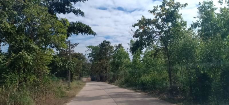 ขายที่ดินถมแล้ว-117ตรว-ติดถนนคอนกรีต-ถมแล้ว