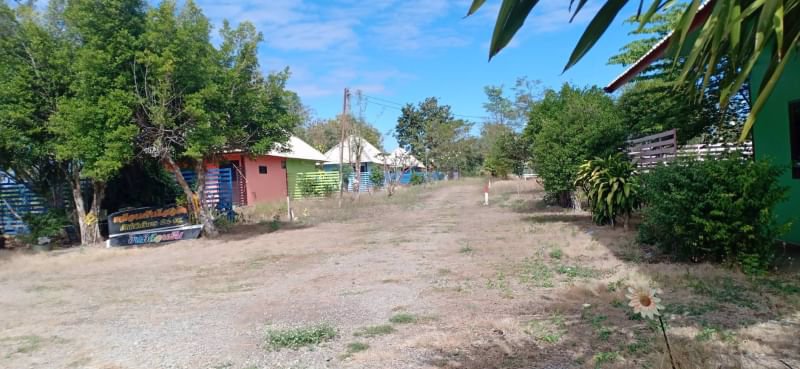 ขายที่ดินถมแล้ว-117ตรว-ติดถนนคอนกรีต-ถมแล้ว