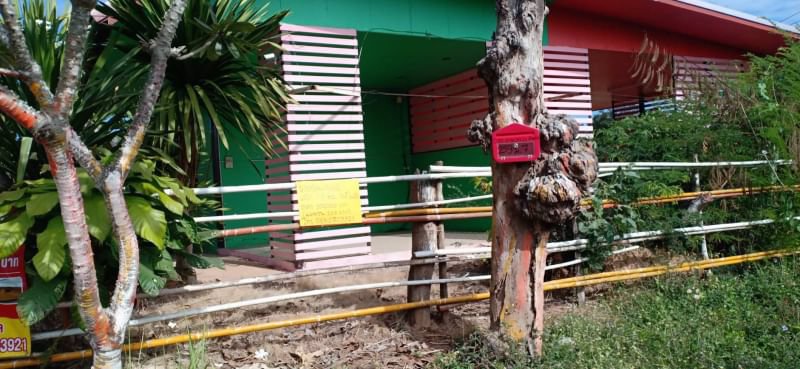 ขายที่ดินถมแล้ว-117ตรว-ติดถนนคอนกรีต-ถมแล้ว