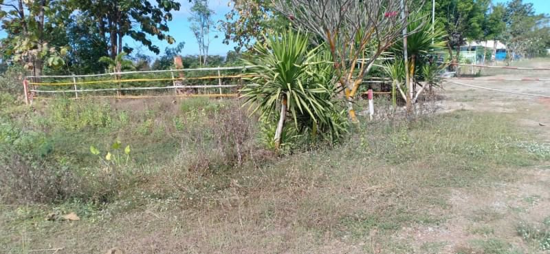 ขายที่ดินถมแล้ว-117ตรว-ติดถนนคอนกรีต-ถมแล้ว