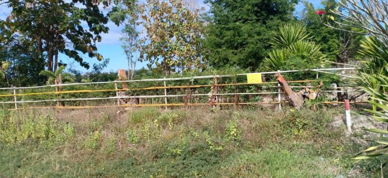 ขายที่ดินถมแล้ว-117ตรว-ติดถนนคอนกรีต-ถมแล้ว