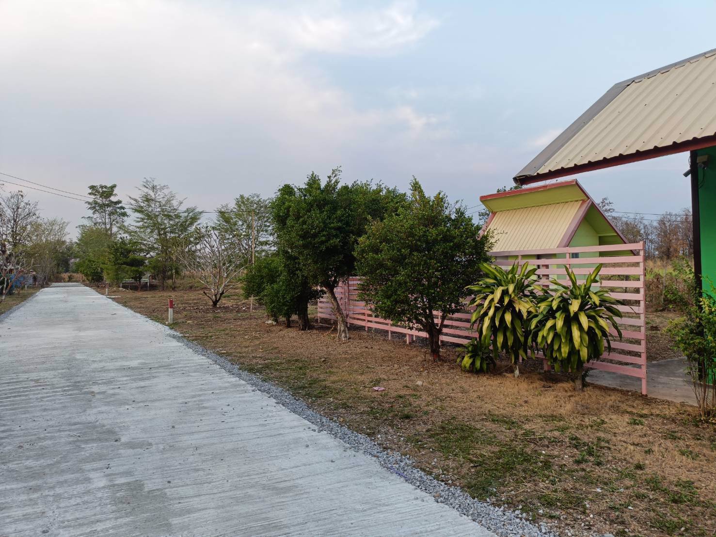 ขายที่ดินถมแล้ว-117ตรว-ติดถนนคอนกรีต-ถมแล้ว