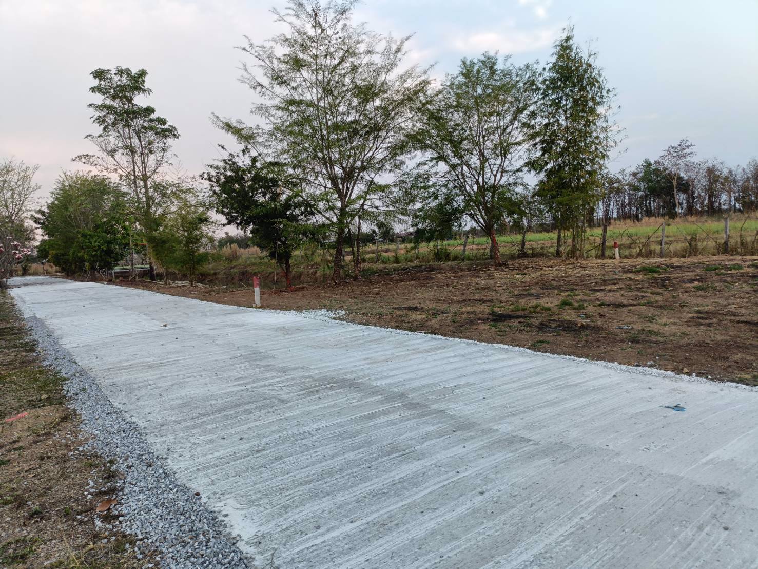 ขายที่ดินถมแล้ว-117ตรว-ติดถนนคอนกรีต-ถมแล้ว