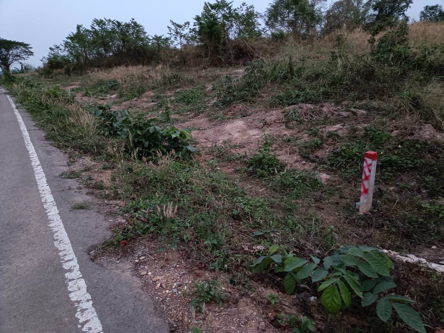 ขายที่ดิน-200-ตรว-ราคา3แสนบาท