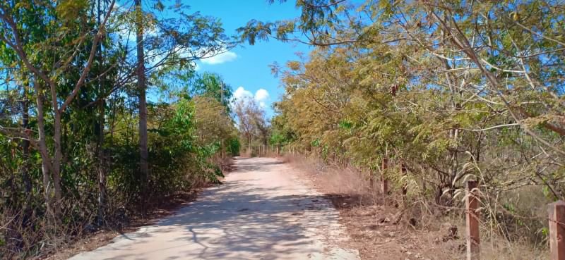 ขายที่ดินในเมืองอุดรธานี-260-ตรวติดถนนคอนกรีต-2ด้าน-โฉนด