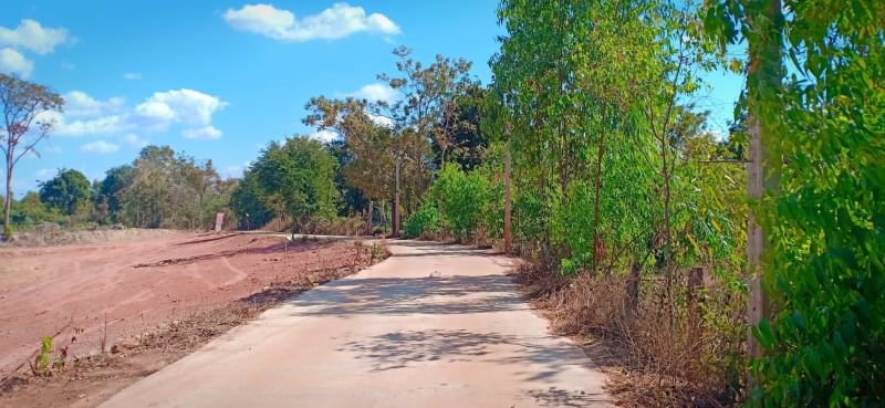 ขายที่ดินในเมืองอุดรธานี-260-ตรวติดถนนคอนกรีต-2ด้าน-โฉนด