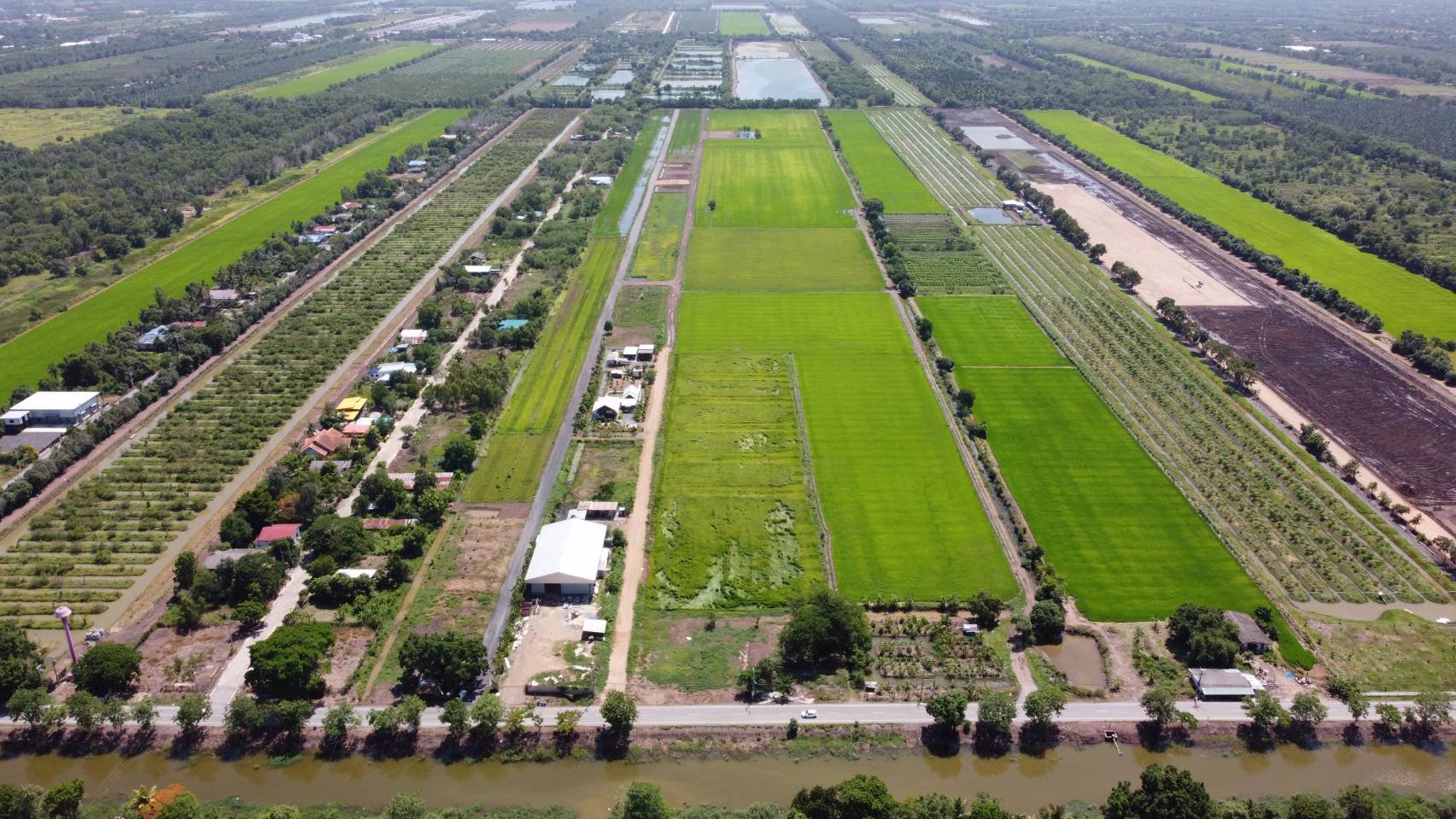 ที่ดิน-โครงการเจริญกัลป์พัฒนา-คลอง11-ตบึงบา-อหนองเสือ-จปทุมธานี