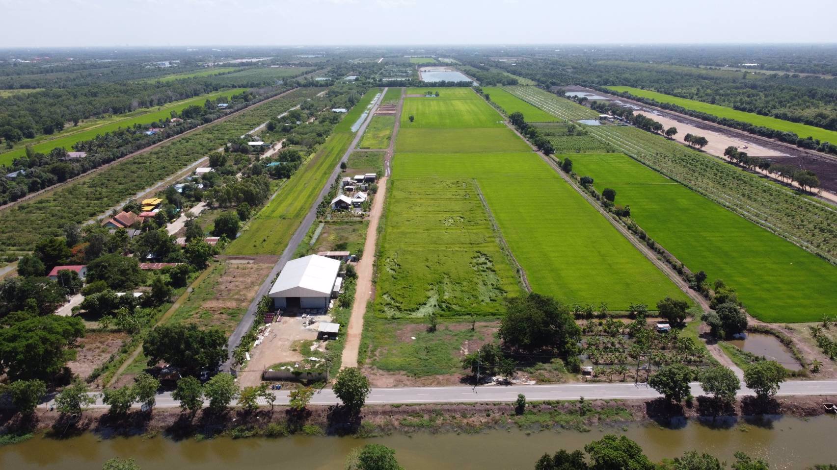 ที่ดิน-โครงการเจริญกัลป์พัฒนา-คลอง11-ตบึงบา-อหนองเสือ-จปทุมธานี