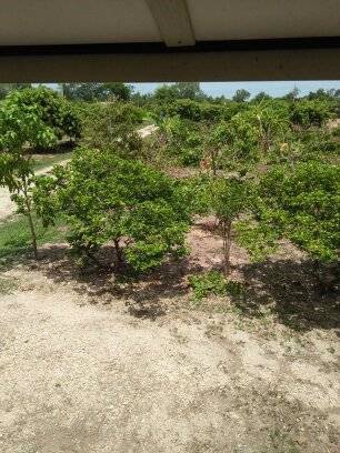 ขาย-ที่ดินนครนายก-บ้านพร้าว-บ้านนา-นครนายก-ตรงข้ามวัดนักบุญยอแซฟ-9ไร่1งาน-แบ่งขายได้5ไร่-ที่ดินบ้าน