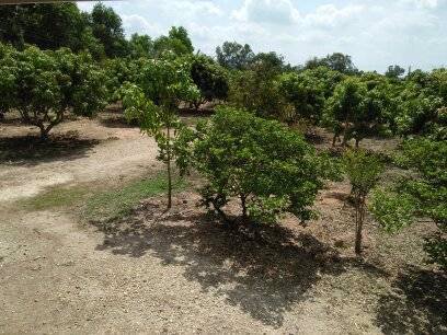 ขาย-ที่ดินนครนายก-บ้านพร้าว-บ้านนา-นครนายก-ตรงข้ามวัดนักบุญยอแซฟ-9ไร่1งาน-แบ่งขายได้5ไร่-ที่ดินบ้าน