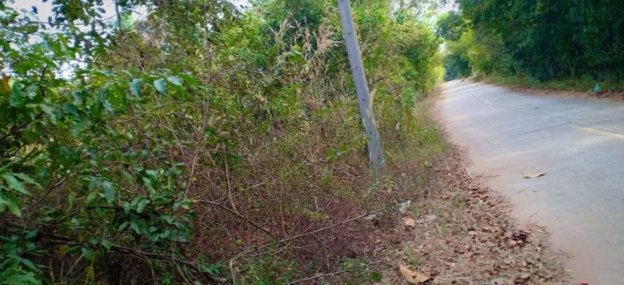 ขายที่ดินทำบ้านเนื้อที่-100-ตรว-ราคา-99000บาท