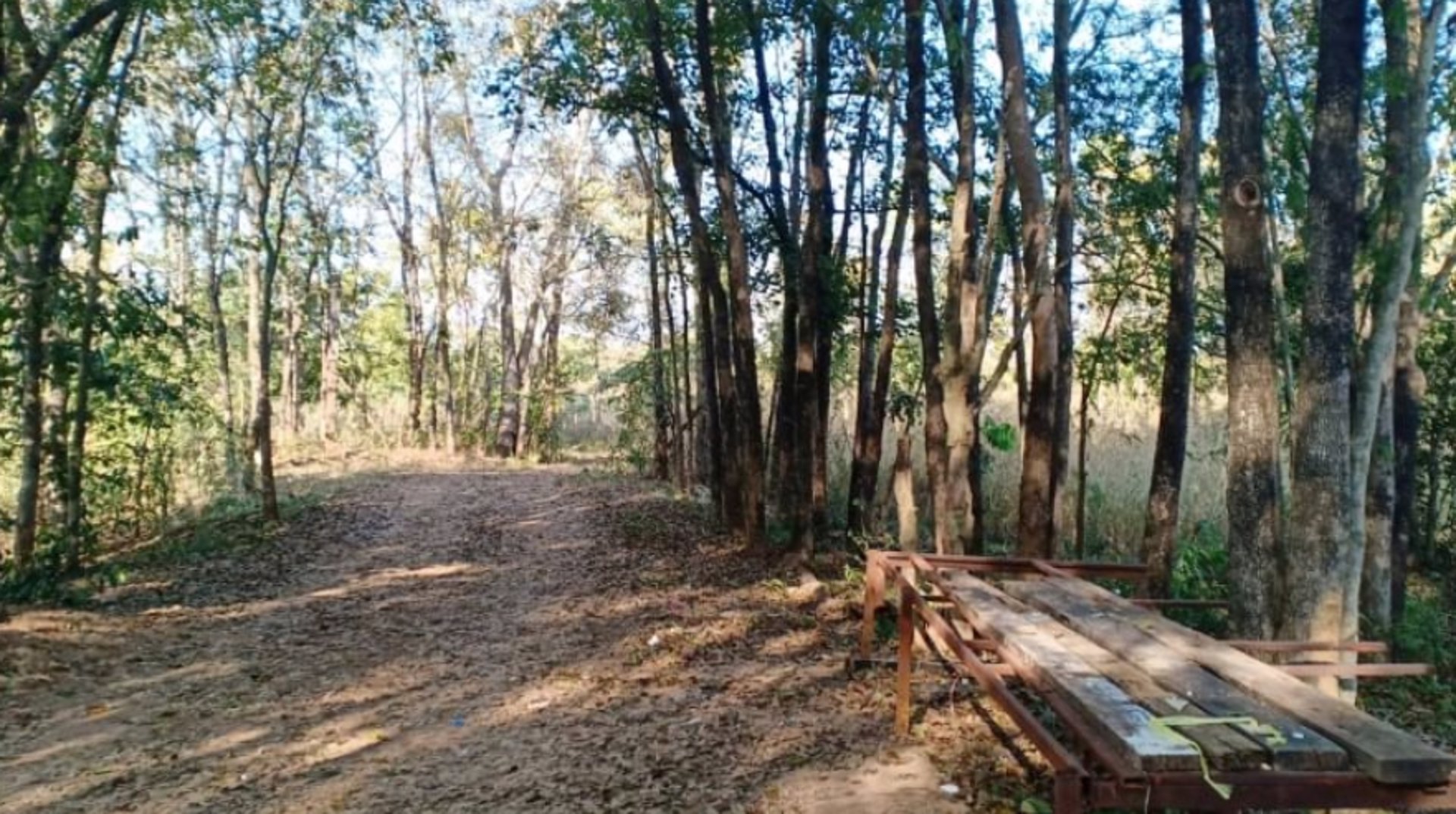 ขายที่ดิน-2ไร่-ราคา290000บาท-ผ่อนวัน100บาท-