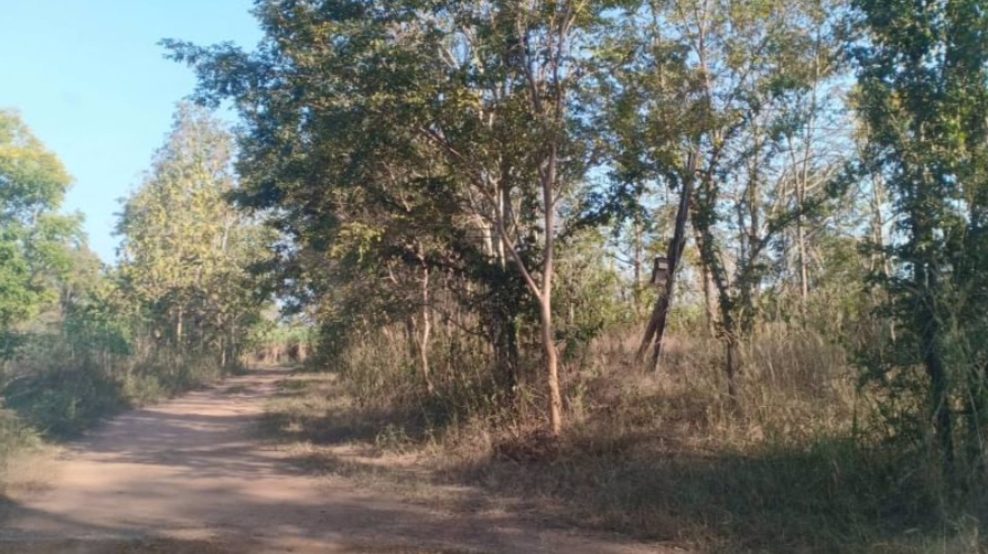 ขายที่ดิน-2ไร่-ราคา290000บาท-ผ่อนวัน100บาท-