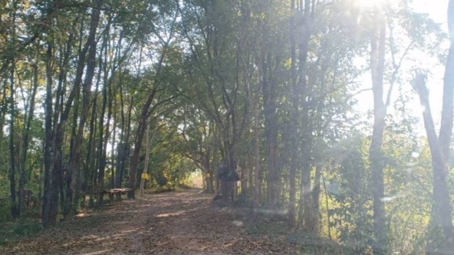 ขายที่ดิน-2ไร่-ราคา290000บาท-ผ่อนวัน100บาท-