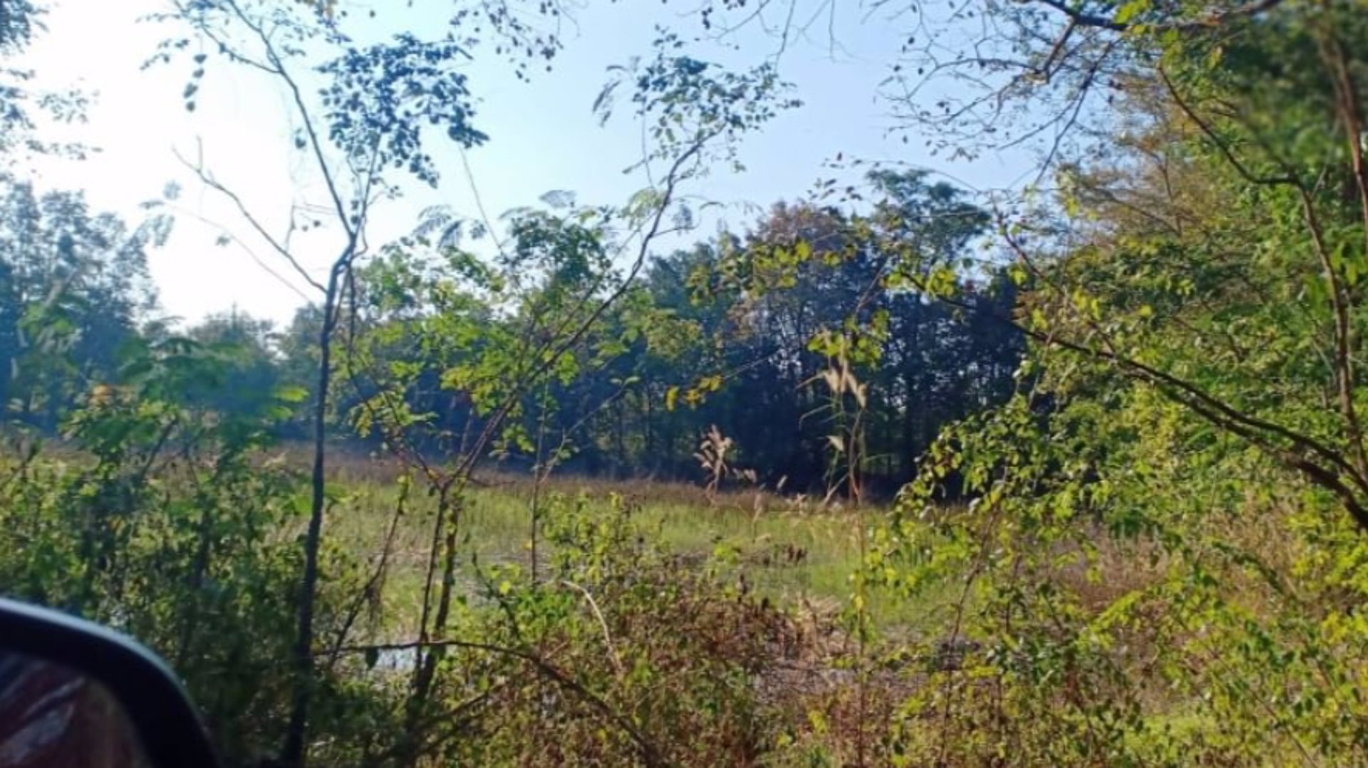 ขายที่ดิน-2ไร่-ราคา290000บาท-ผ่อนวัน100บาท-