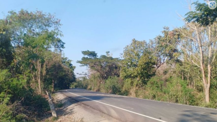 ขายที่ดิน-2ไร่-ราคา290000บาท-ผ่อนวัน100บาท-