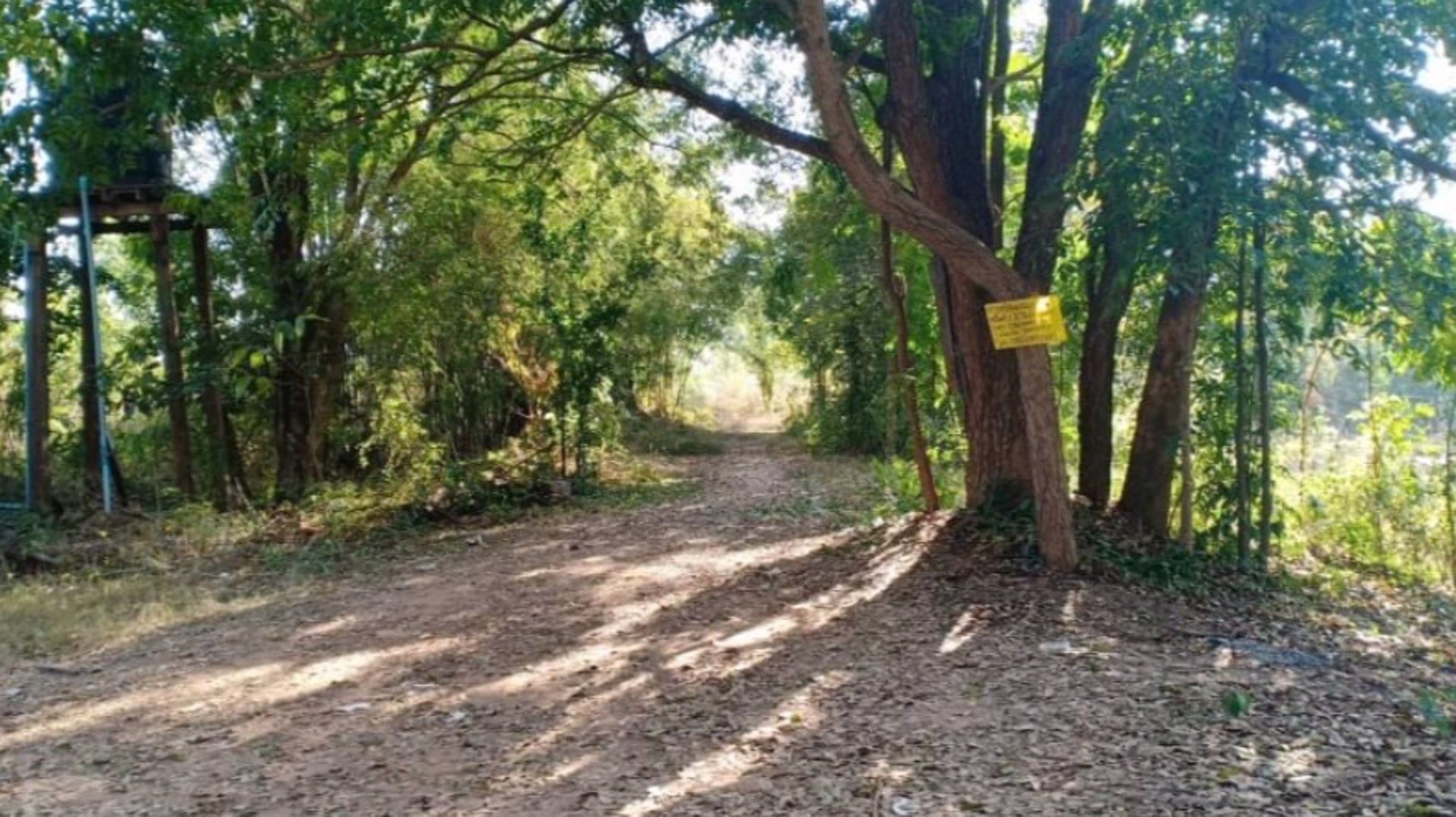 ขายที่ดิน-2ไร่-ราคา290000บาท-ผ่อนวัน100บาท-