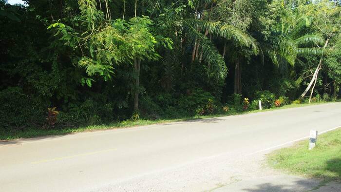 ขายที่ดินติดชายทะเล-หาดทุ่งวัวแล่น-ตสะพลี-อปะทิว-จชุมพร