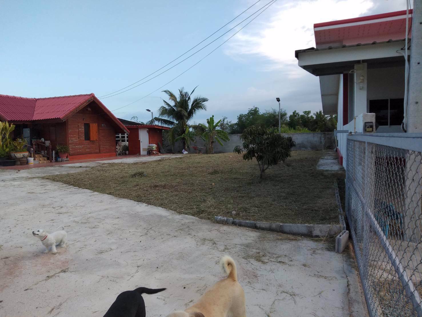 ขายกิจการห้องเช่ารายเดือน-ขนาด-5-ห้องมีแอร์-ห้องน้ำทุกห้อง-สนงเป็นบ้านไม้สัก-2-ห้องนอน-3-ห้องน้ำ