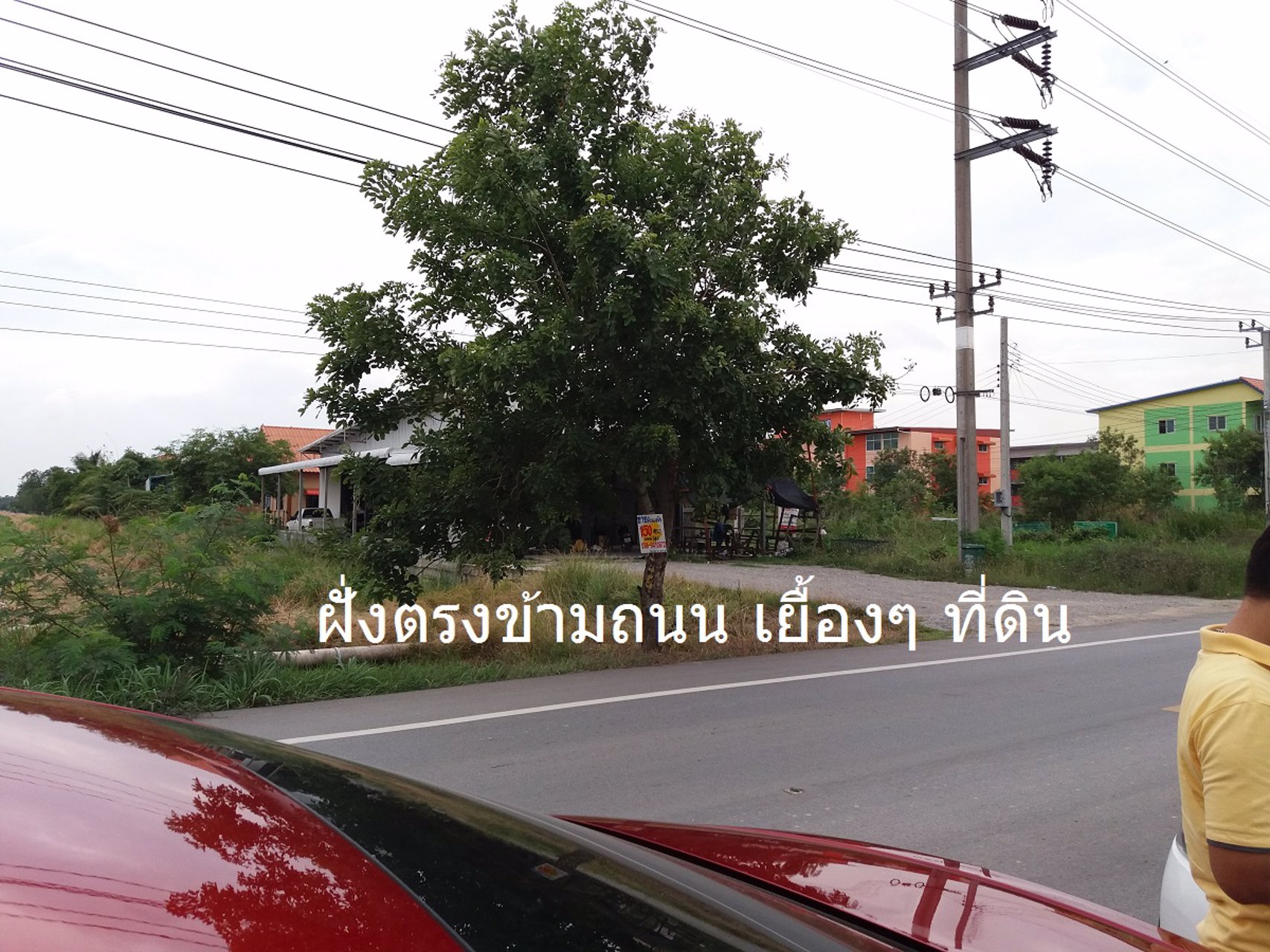 ขายที่ดินติดถนนไทรน้อย-ลาดบัวหลวง-ใกล้-พิพิธภัณฑ์ไฮเนเก้น-ไทรน้อย-นนทบุรี