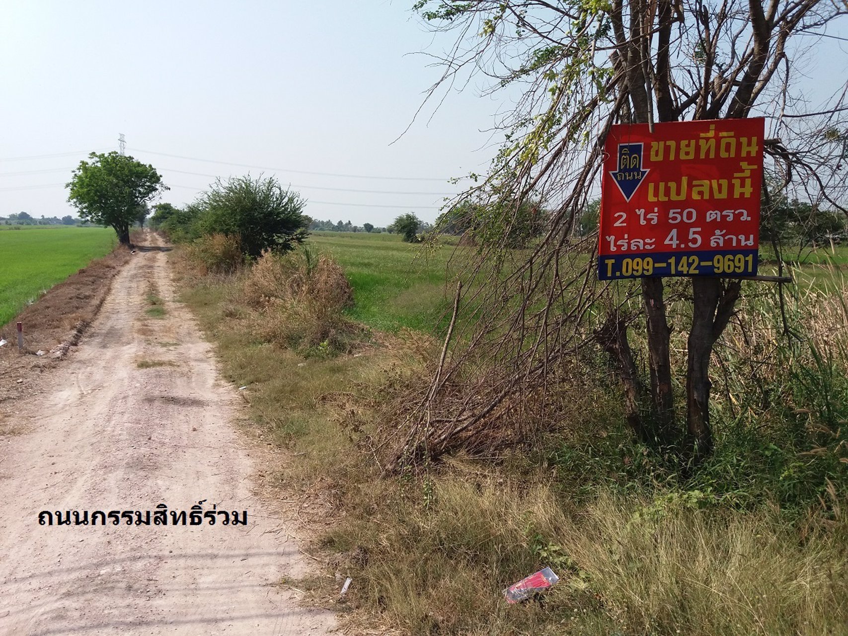 ขายที่ดินติดถนนไทรน้อย-ลาดบัวหลวง-ใกล้-พิพิธภัณฑ์ไฮเนเก้น-ไทรน้อย-นนทบุรี