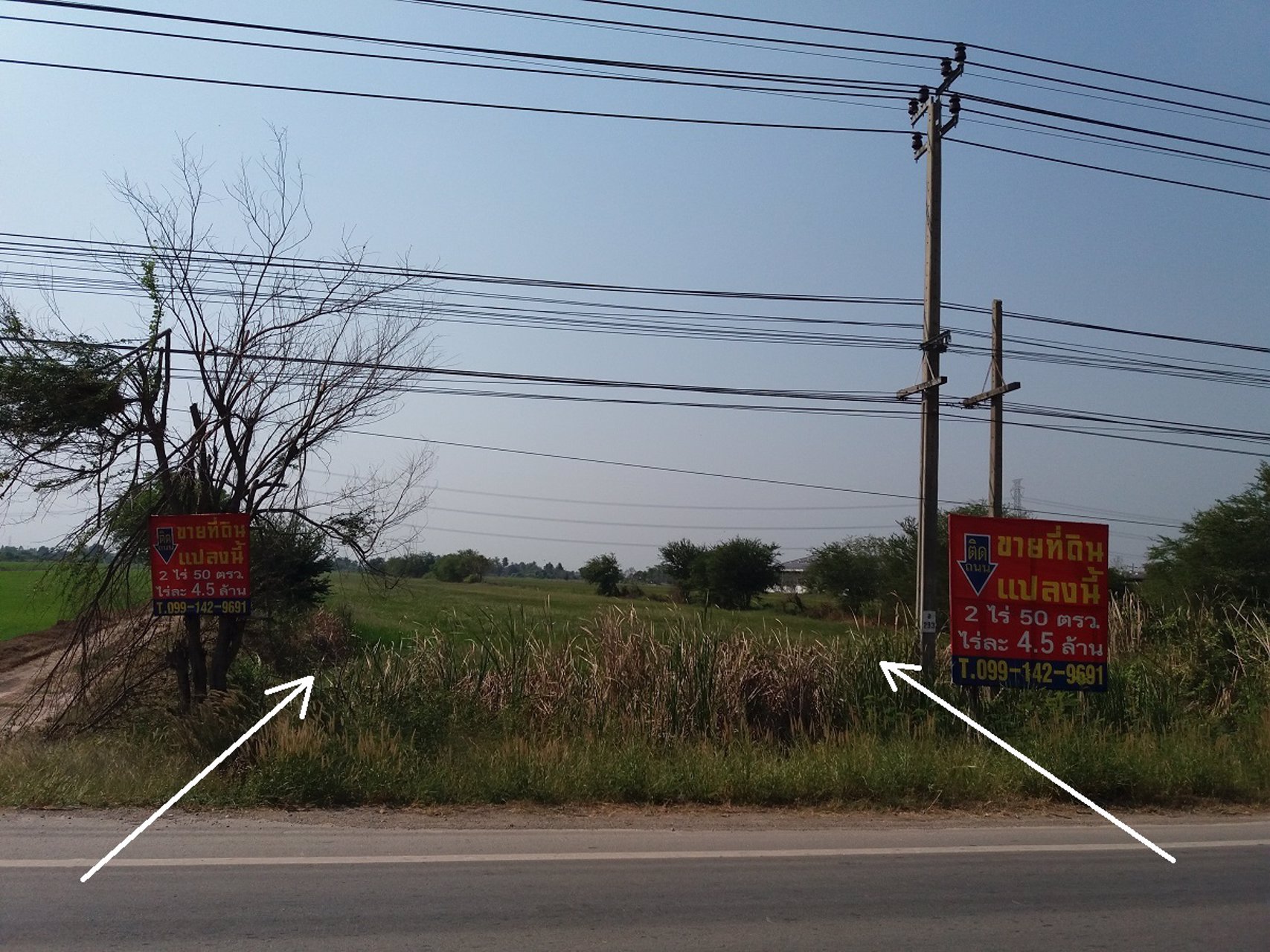 ขายที่ดินติดถนนไทรน้อย-ลาดบัวหลวง-ใกล้-พิพิธภัณฑ์ไฮเนเก้น-ไทรน้อย-นนทบุรี