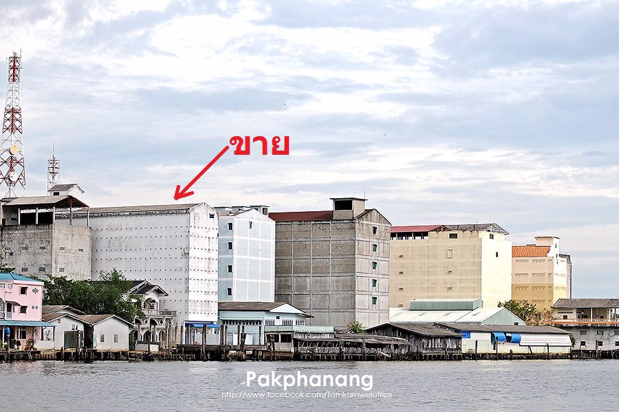 ขายตึกนกนางแอ่นพร้อมที่ดินติดแม่น้ำปากพนังและติดถนนพานิชสัมพันธ์