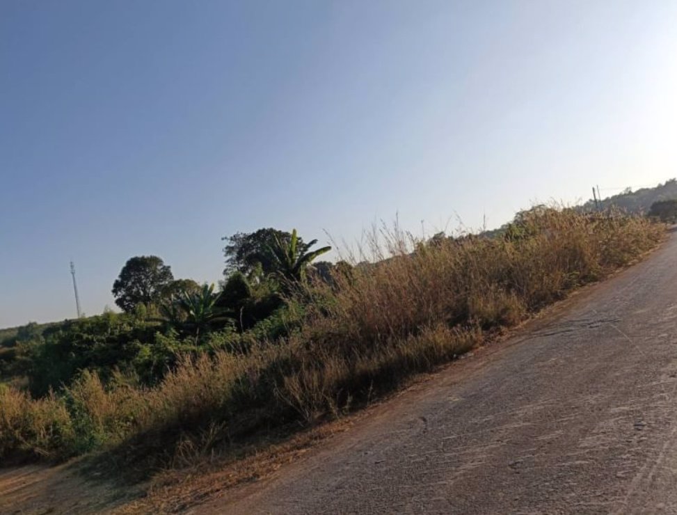 ขายที่ดินติดถนนเลียบโขง-235ตรว