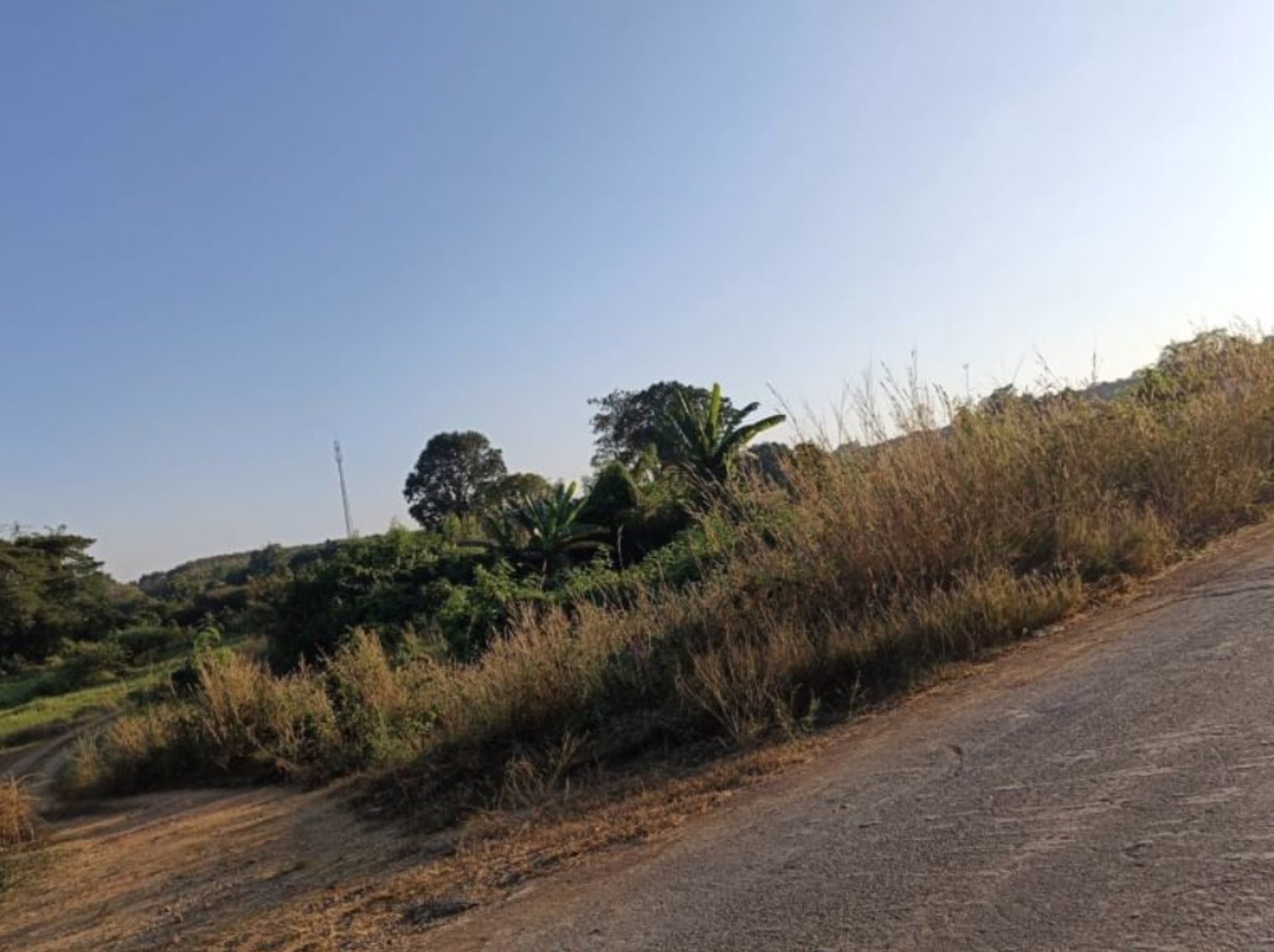 ขายที่ดินติดถนนเลียบโขง-235ตรว