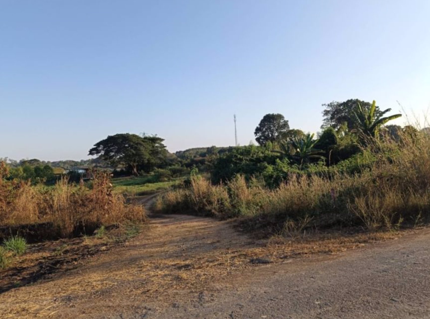 ขายที่ดินติดถนนเลียบโขง-235ตรว