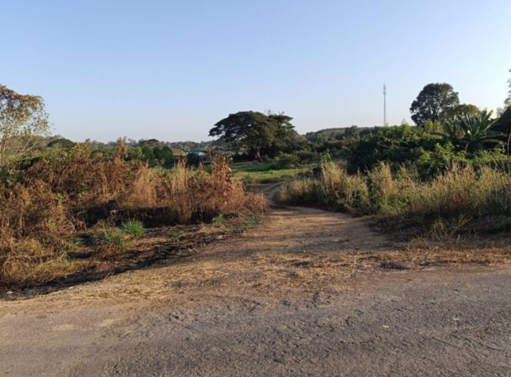 ขายที่ดินติดถนนเลียบโขง-235ตรว