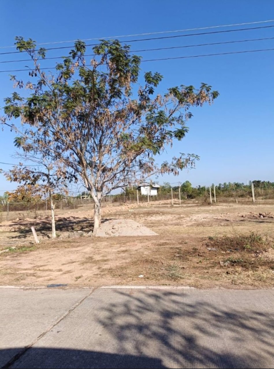 ขาย-ที่ดินทำเลดี-ขนาด-200-ตรว