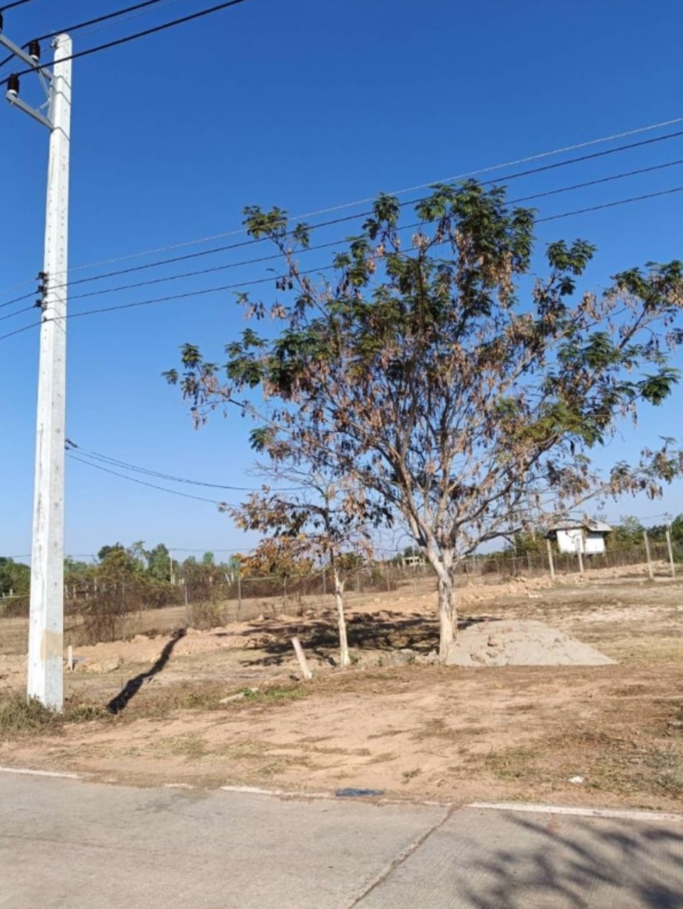 ขาย-ที่ดินทำเลดี-ขนาด-200-ตรว