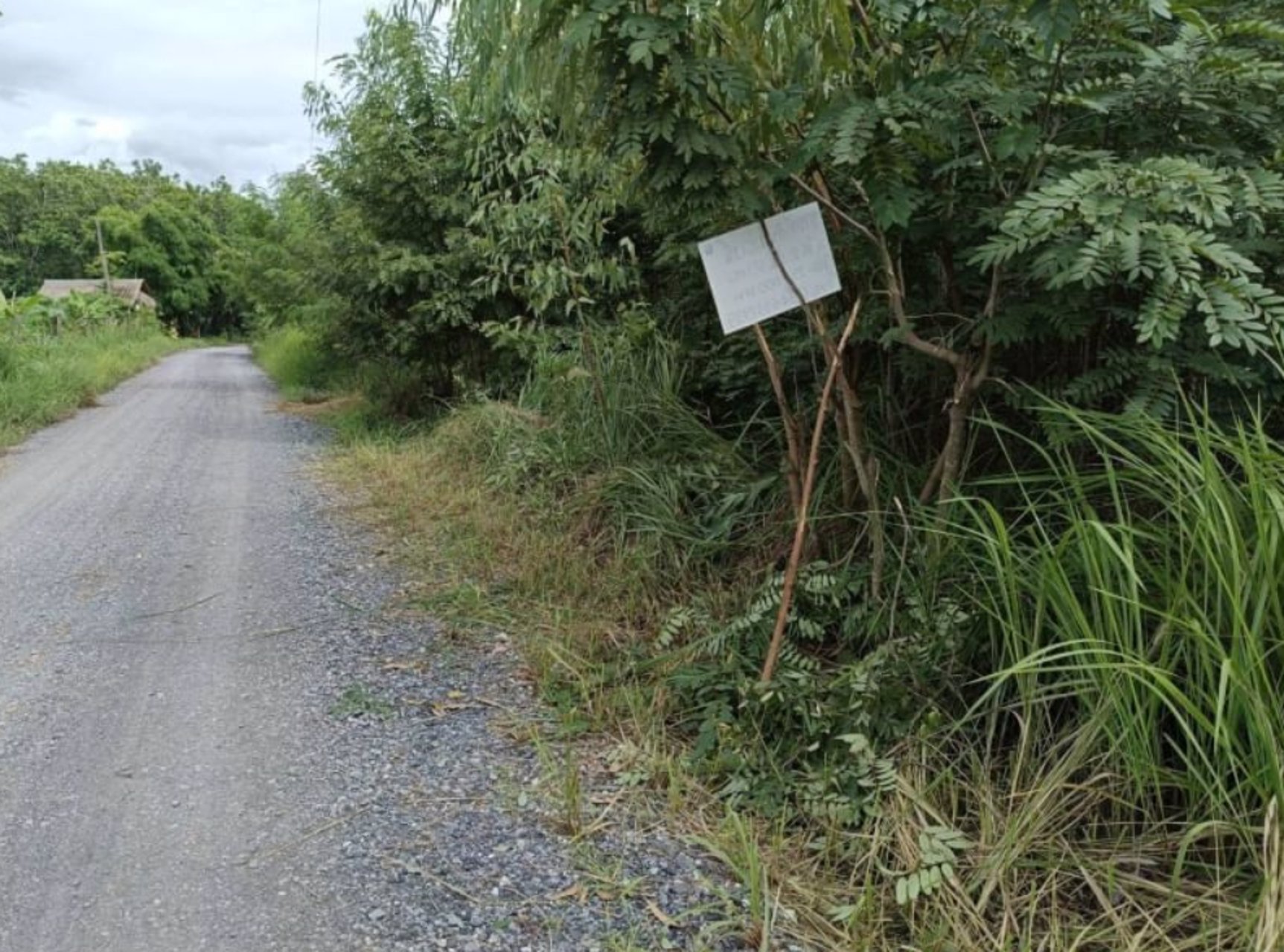 ขายที่ดิน-4-ไร่-2-งาน-89-ตรว