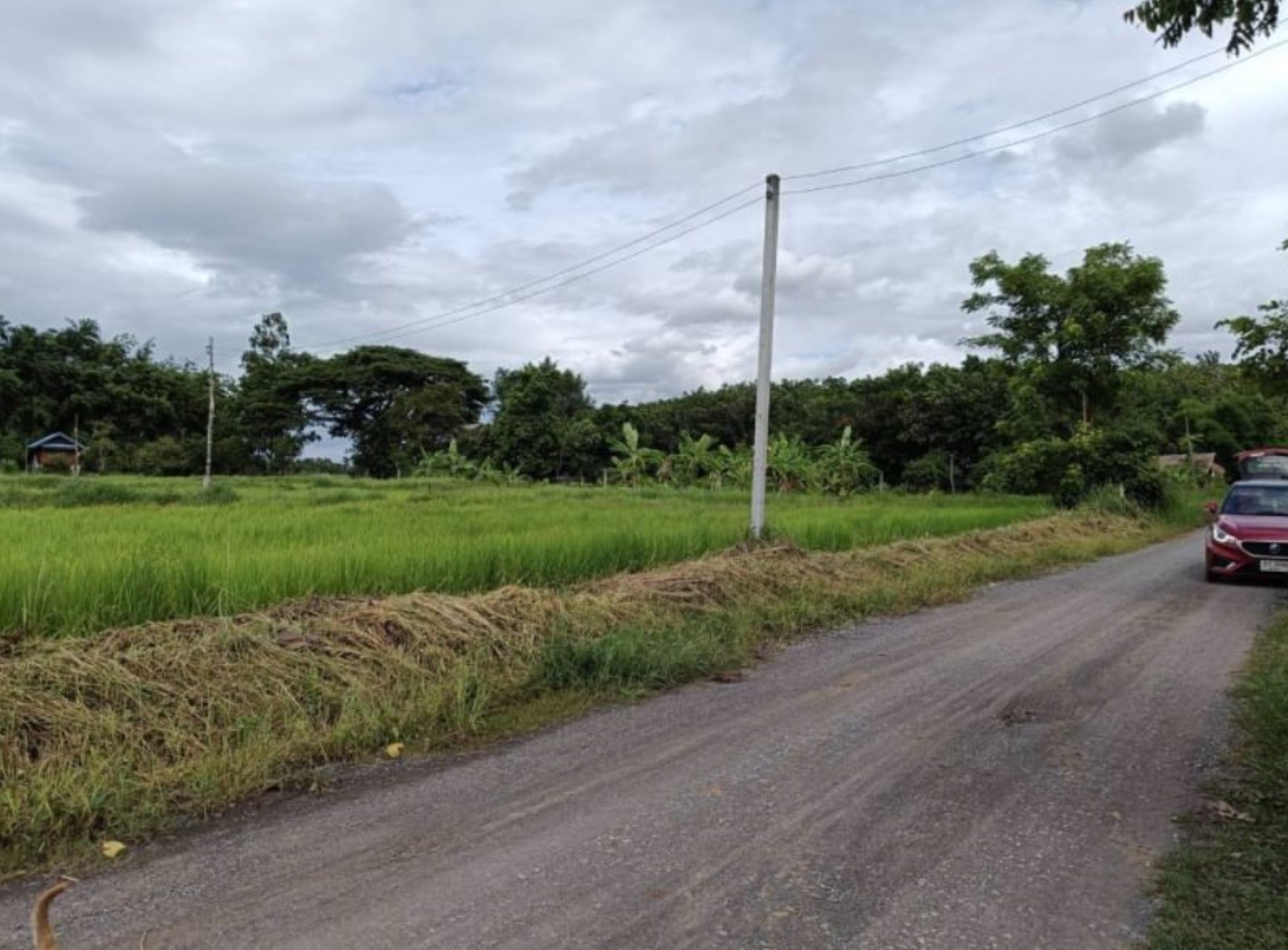 ขายที่ดิน-4-ไร่-2-งาน-89-ตรว