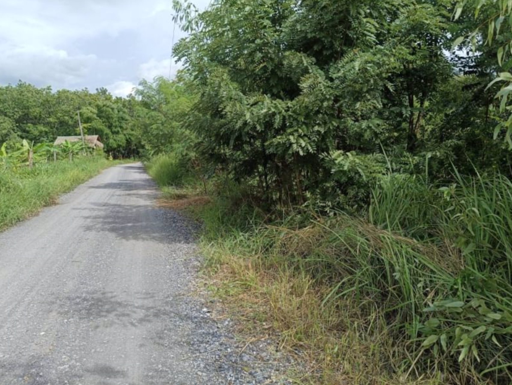 ขายที่ดิน-4-ไร่-2-งาน-89-ตรว