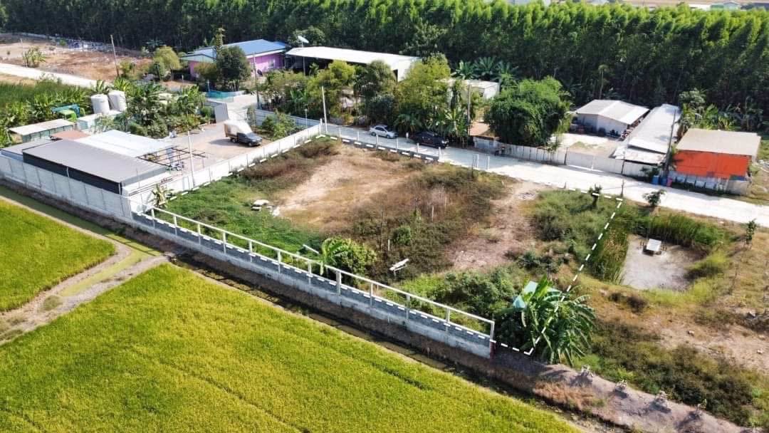 ขายด่วนถมแล้วติดถนนคอนกรีต-300-ตารางวา