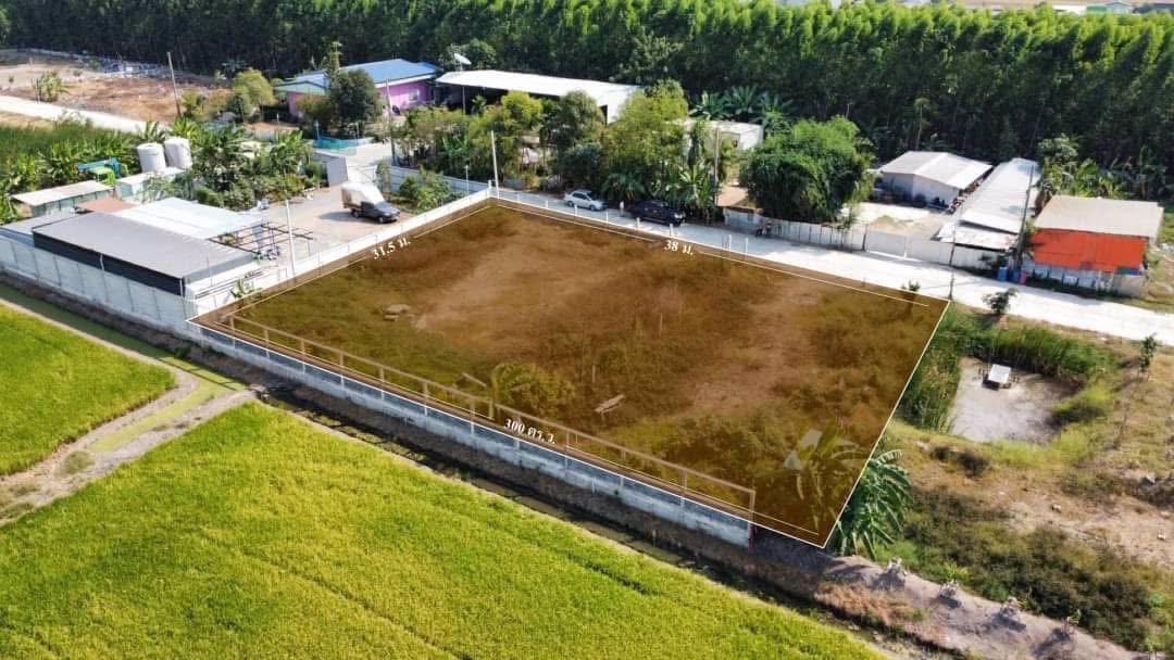 ขายด่วนถมแล้วติดถนนคอนกรีต-300-ตารางวา