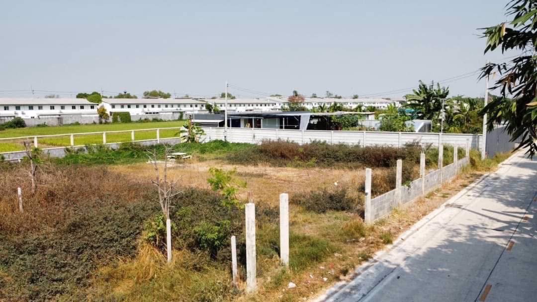 ขายด่วนถมแล้วติดถนนคอนกรีต-300-ตารางวา