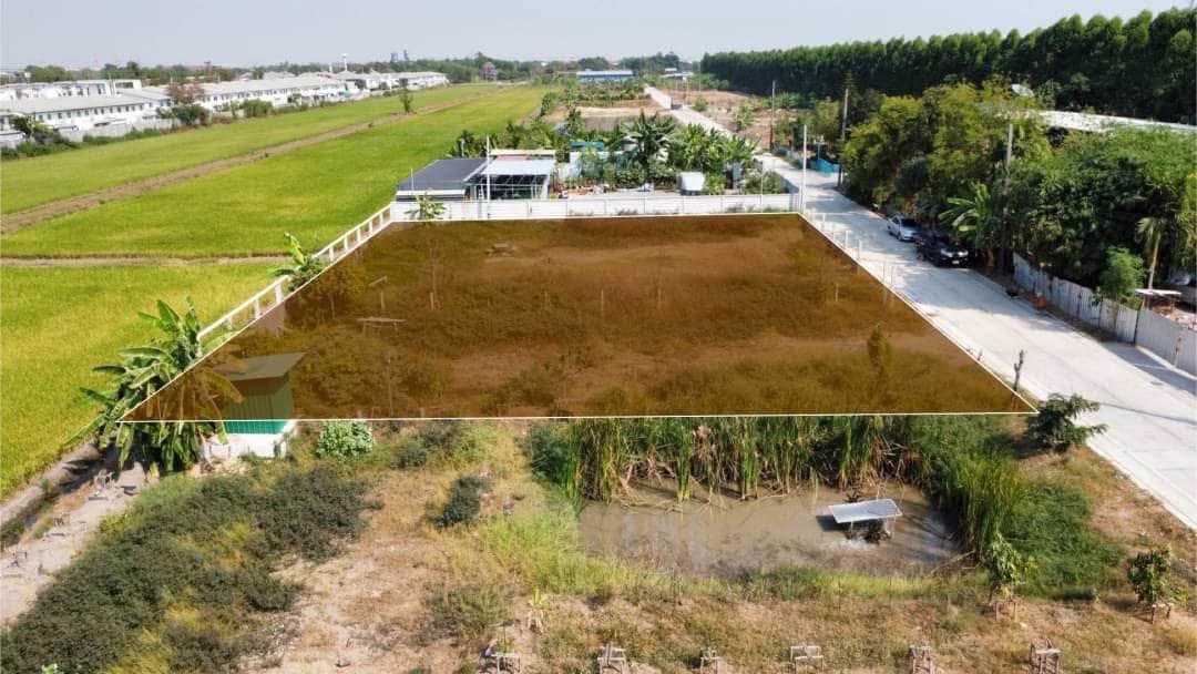 ขายด่วนถมแล้วติดถนนคอนกรีต-300-ตารางวา