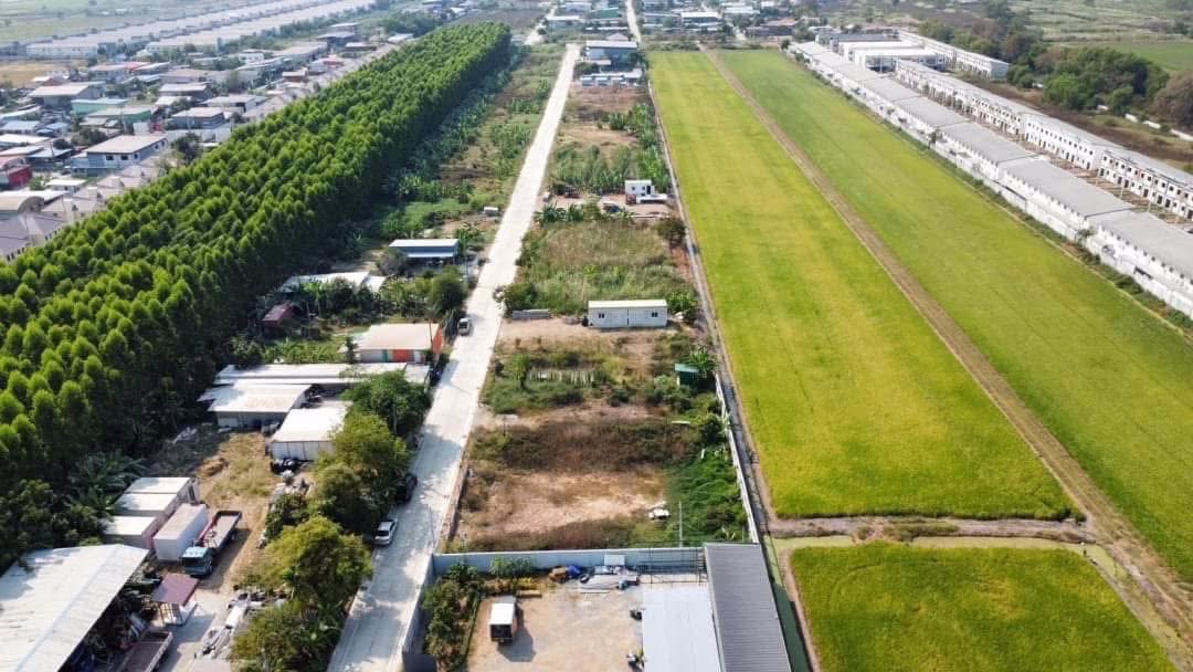 ขายด่วนถมแล้วติดถนนคอนกรีต-300-ตารางวา