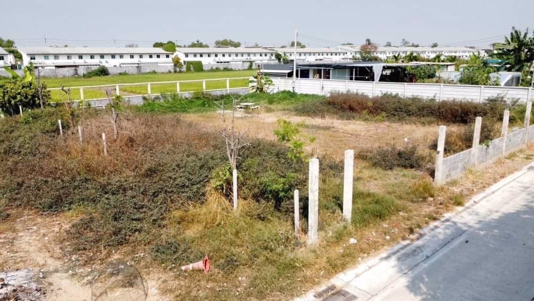 ขายด่วนถมแล้วติดถนนคอนกรีต-300-ตารางวา