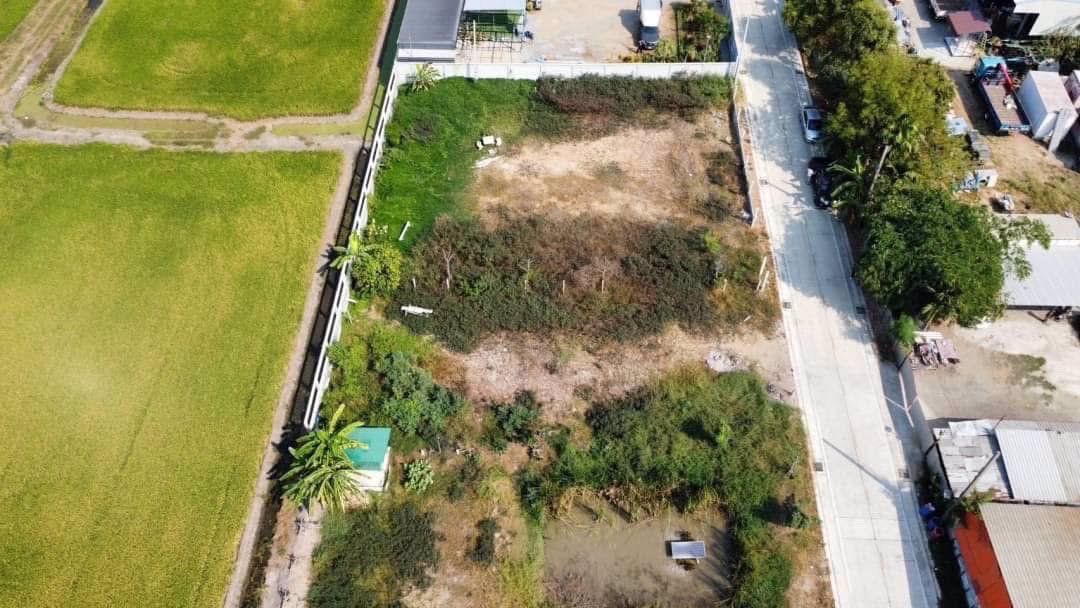 ขายด่วนถมแล้วติดถนนคอนกรีต-300-ตารางวา