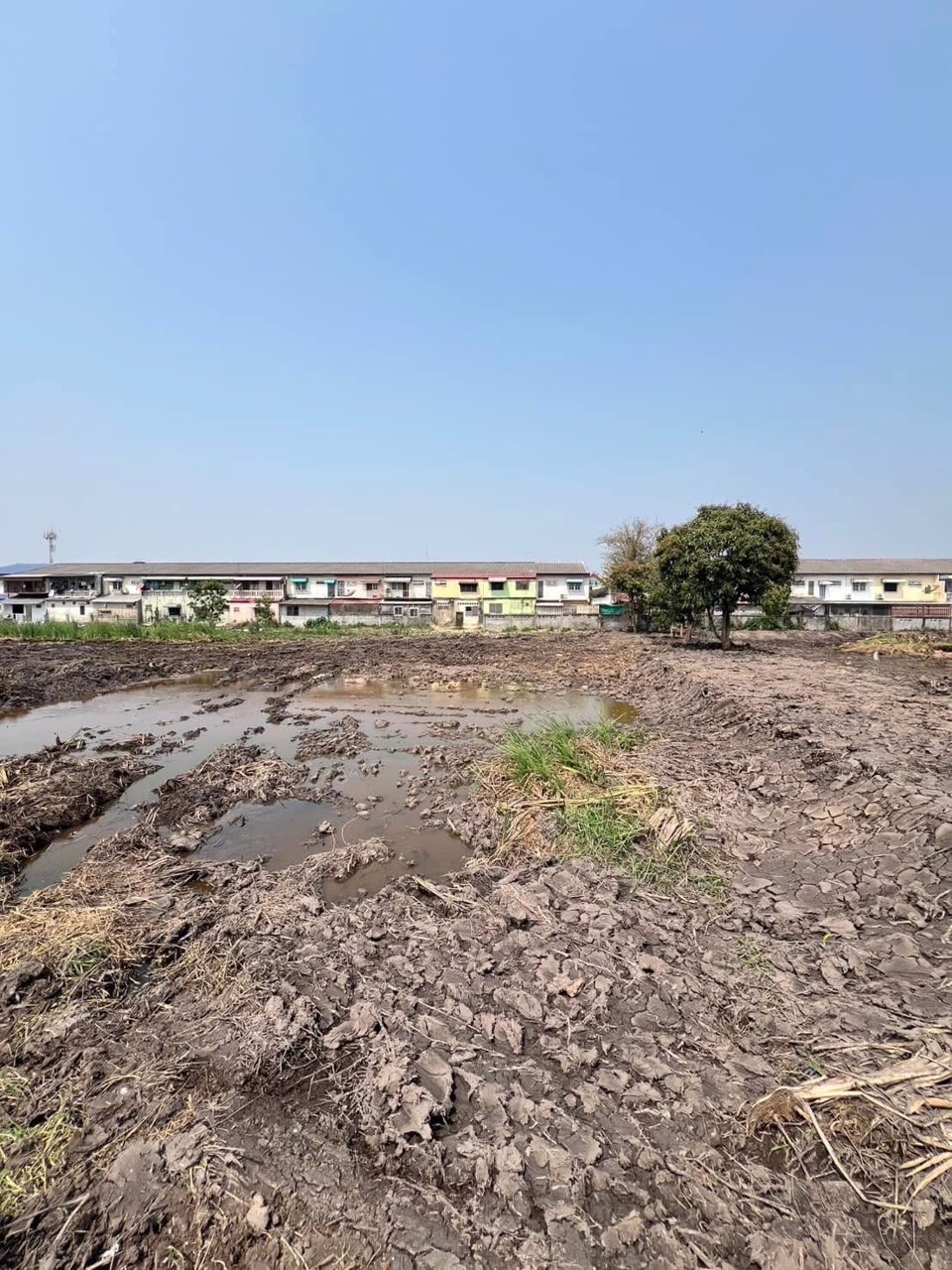 ที่ดินทำเลทองเพื่อการลงทุน-คลอง6-ที่ดินคลอง6