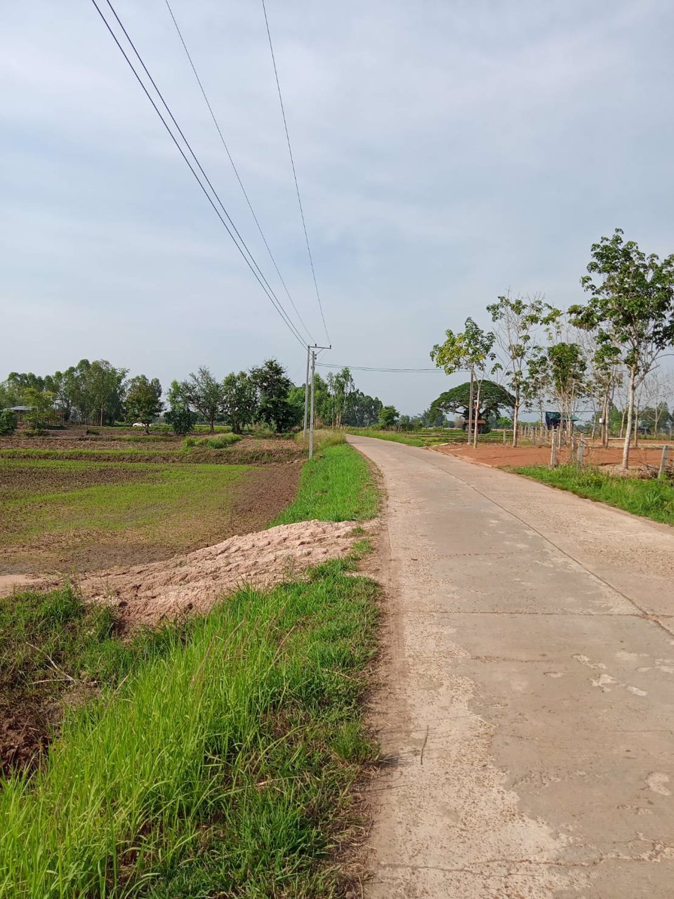 ขายที่ดิน-3-ไร่-36-ตารางวา-บ้านนาบ่อ-ตปลาโหล-อวาริชภูมิ-จสกลนคร-หน้าที่ดินติดถนนเทศบาล-7-แสน