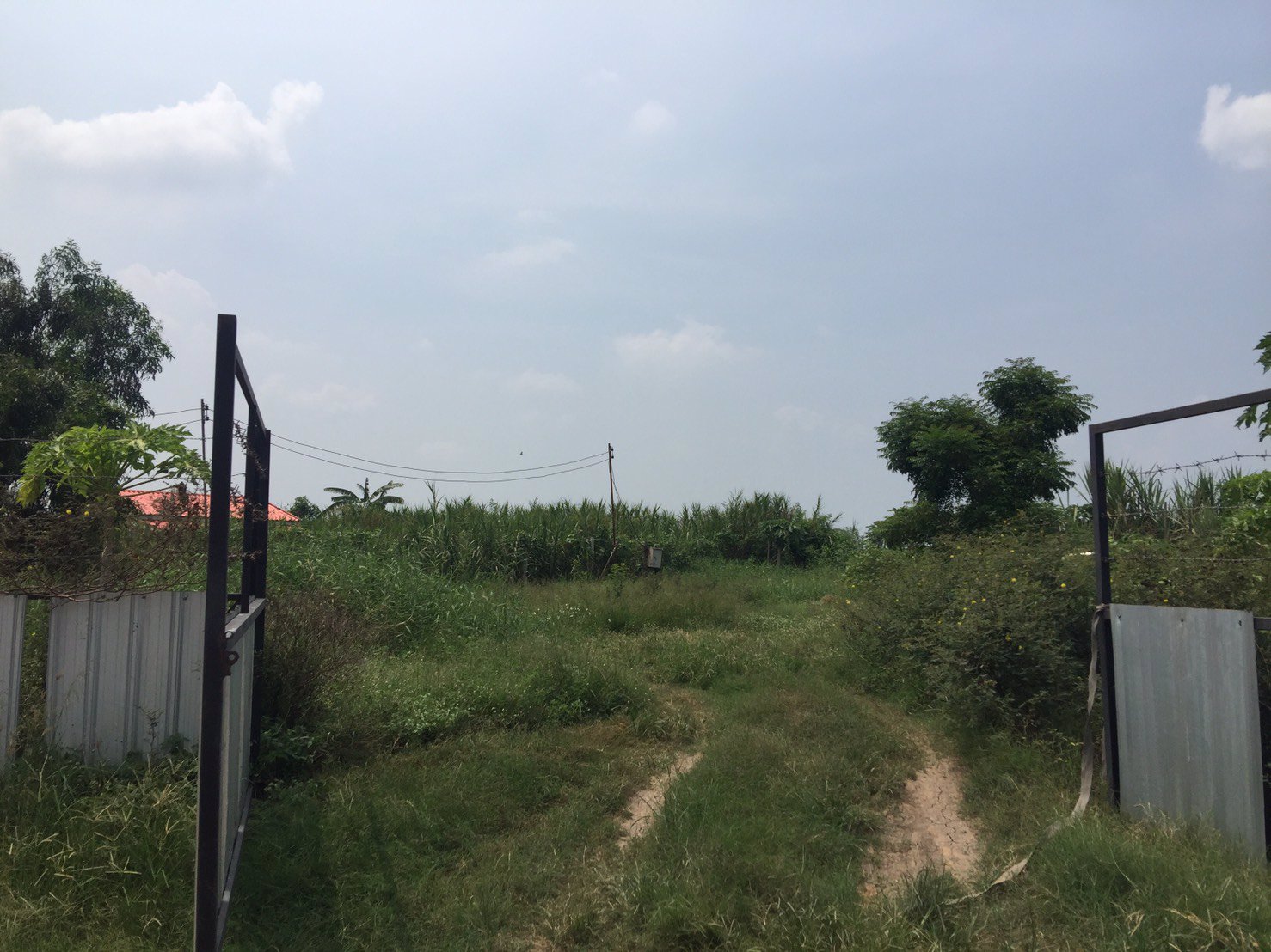 ขายที่ดินลาดหลุมแก้ว